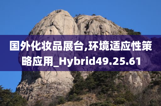 国外化妆品展台,环境适应性策略应用_Hybrid49.25.61