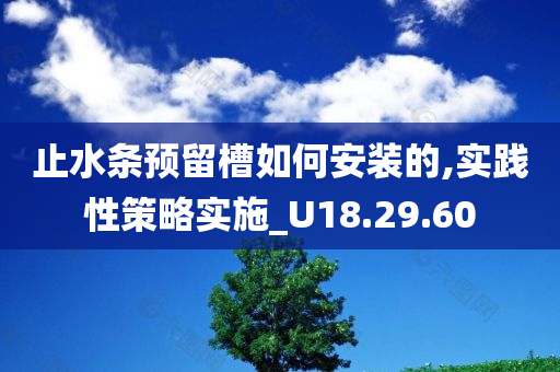 止水条预留槽如何安装的,实践性策略实施_U18.29.60