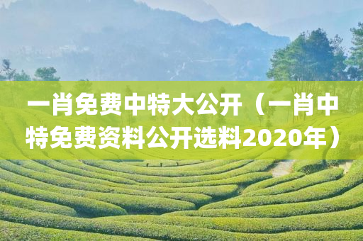 一肖免费中特大公开（一肖中特免费资料公开选料2020年）