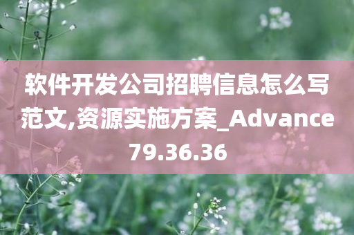 软件开发公司招聘信息怎么写范文,资源实施方案_Advance79.36.36