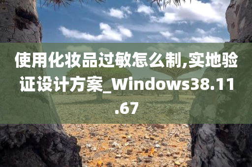 使用化妆品过敏怎么制,实地验证设计方案_Windows38.11.67