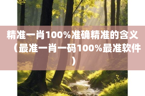 精准一肖100%准确精准的含义（最准一肖一码100%最准软件）