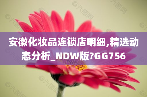 安徽化妆品连锁店明细,精选动态分析_NDW版?GG756