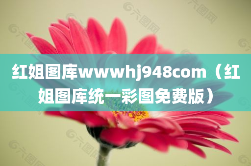 红姐图库wwwhj948com（红姐图库统一彩图免费版）