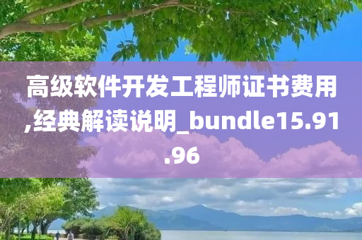 高级软件开发工程师证书费用,经典解读说明_bundle15.91.96