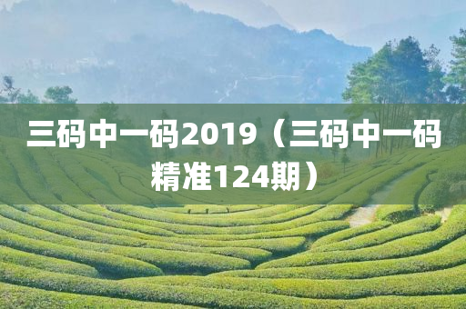 三码中一码2019（三码中一码精准124期）