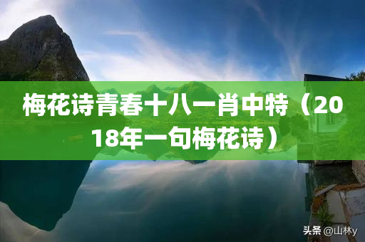 梅花诗青春十八一肖中特（2018年一句梅花诗）