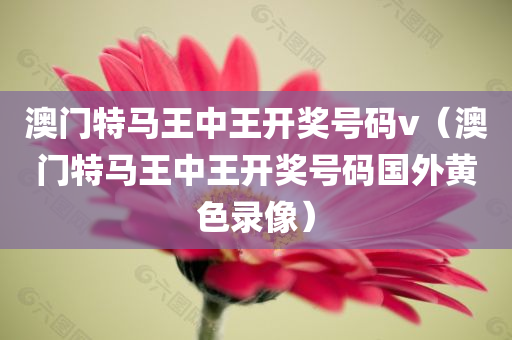 澳门特马王中王开奖号码v（澳门特马王中王开奖号码国外黄色录像）