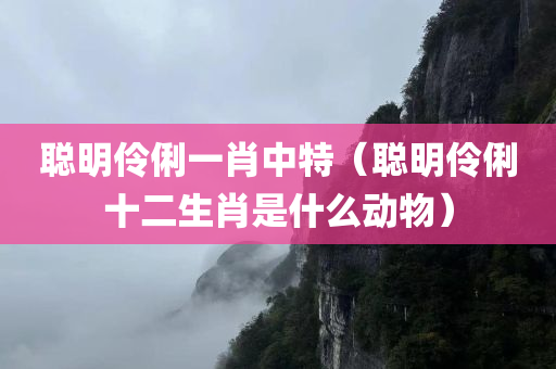 聪明伶俐一肖中特（聪明伶俐十二生肖是什么动物）