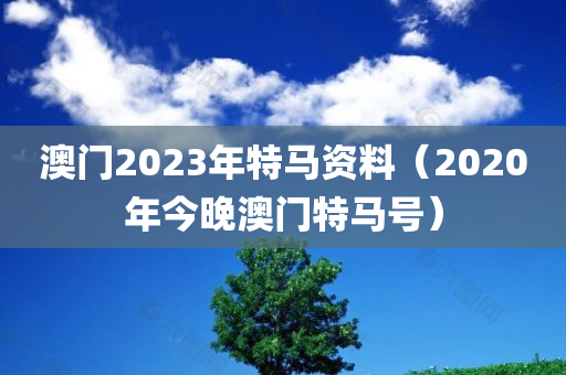 澳门2023年特马资料（2020年今晚澳门特马号）