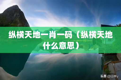 纵横天地一肖一码（纵横天地什么意思）