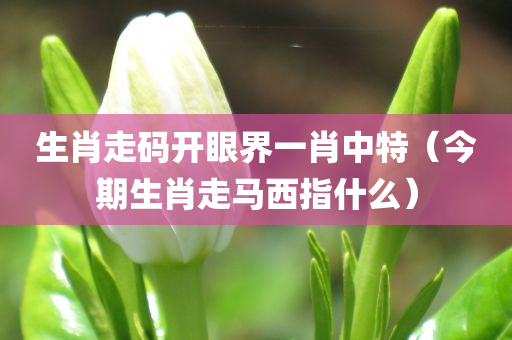 生肖走码开眼界一肖中特（今期生肖走马西指什么）