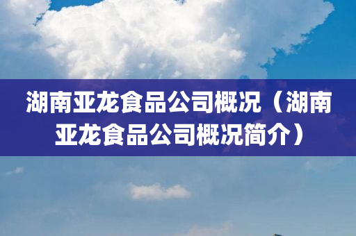 湖南亚龙食品公司概况（湖南亚龙食品公司概况简介）