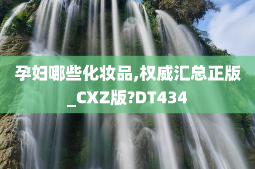 孕妇哪些化妆品,权威汇总正版_CXZ版?DT434