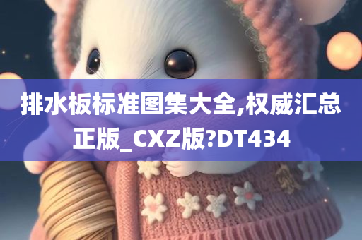 排水板标准图集大全,权威汇总正版_CXZ版?DT434