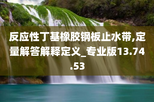 反应性丁基橡胶钢板止水带,定量解答解释定义_专业版13.74.53