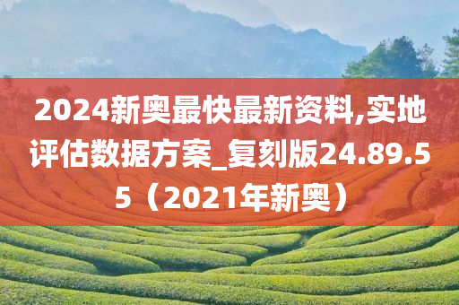 2024新奥最快最新资料,实地评估数据方案_复刻版24.89.55（2021年新奥）