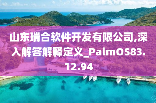 山东瑞合软件开发有限公司,深入解答解释定义_PalmOS83.12.94