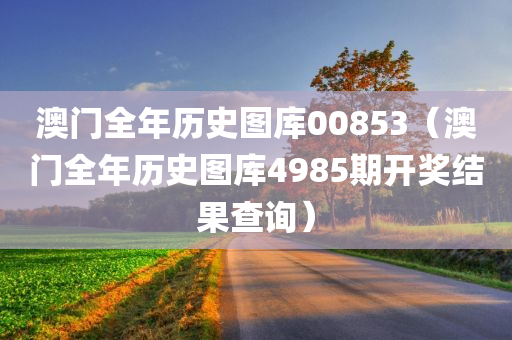 澳门全年历史图库00853（澳门全年历史图库4985期开奖结果查询）