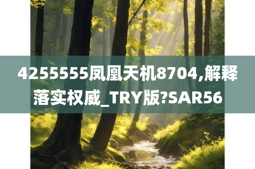 4255555凤凰天机8704,解释落实权威_TRY版?SAR56