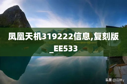 凤凰天机319222信息,复刻版_EE533