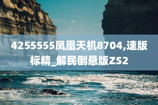 4255555凤凰天机8704,速版标精_解民倒悬版ZS2