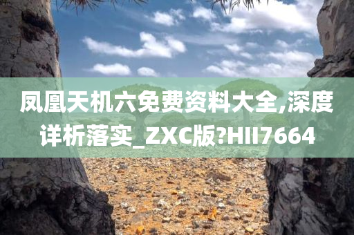 凤凰天机六免费资料大全,深度详析落实_ZXC版?HII7664