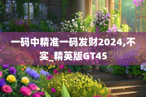 一码中精准一码发财2024,不实_精英版GT45