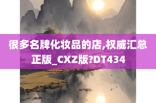 很多名牌化妆品的店,权威汇总正版_CXZ版?DT434