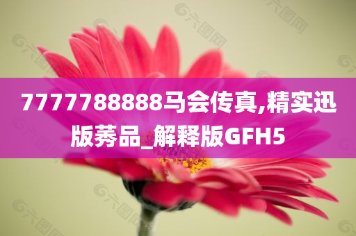 7777788888马会传真,精实迅版莠品_解释版GFH5