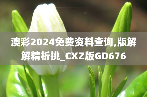 澳彩2024免费资料查询,版解解精析挑_CXZ版GD676