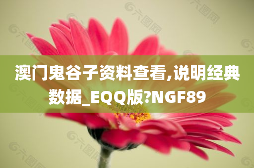 澳门鬼谷子资料查看,说明经典数据_EQQ版?NGF89