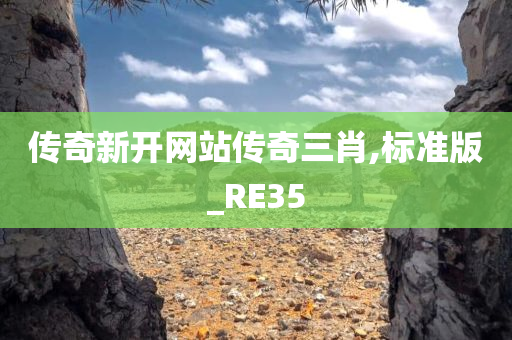 传奇新开网站传奇三肖,标准版_RE35