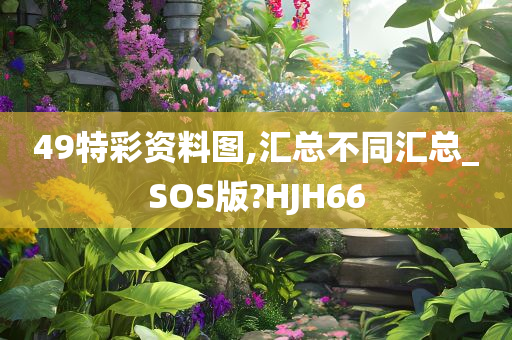 49特彩资料图,汇总不同汇总_SOS版?HJH66