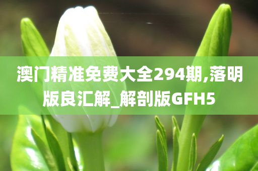 澳门精准免费大全294期,落明版良汇解_解剖版GFH5