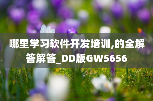 哪里学习软件开发培训,的全解答解答_DD版GW5656