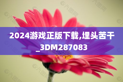 2024游戏正版下载,埋头苦干_3DM287083