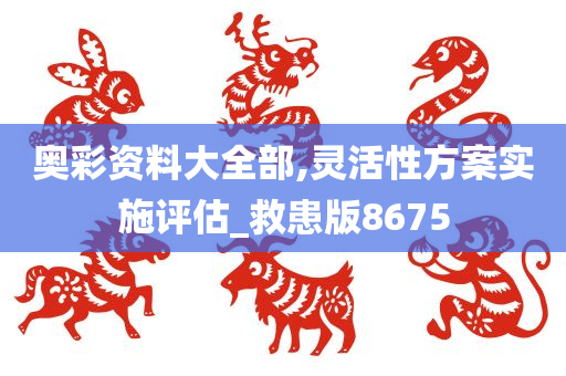 奥彩资料大全部,灵活性方案实施评估_救患版8675