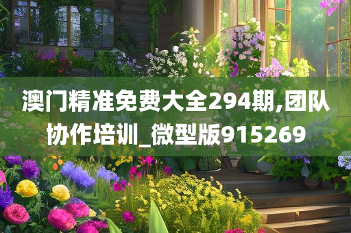 澳门精准免费大全294期,团队协作培训_微型版915269