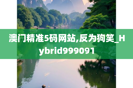 澳门精准5码网站,反为狗笑_Hybrid999091