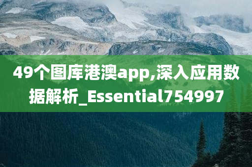 49个图库港澳app,深入应用数据解析_Essential754997