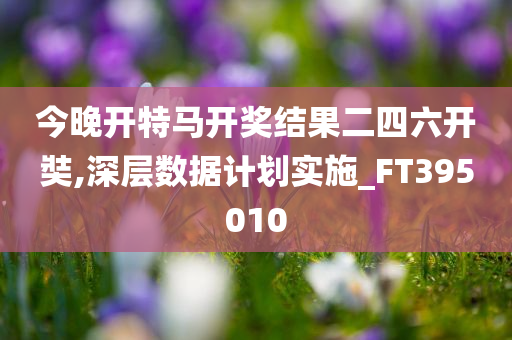 今晚开特马开奖结果二四六开奘,深层数据计划实施_FT395010