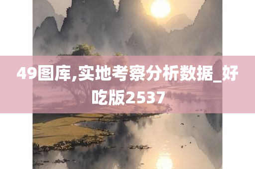 49图库,实地考察分析数据_好吃版2537