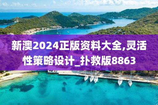 新澳2024正版资料大全,灵活性策略设计_扑救版8863