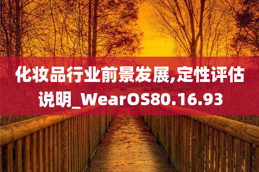 化妆品行业前景发展,定性评估说明_WearOS80.16.93