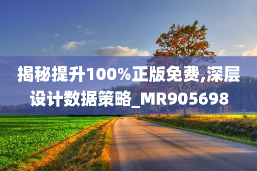 揭秘提升100%正版免费,深层设计数据策略_MR905698