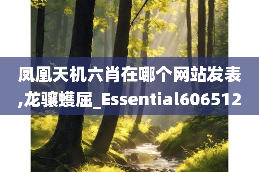 凤凰天机六肖在哪个网站发表,龙骧蠖屈_Essential606512