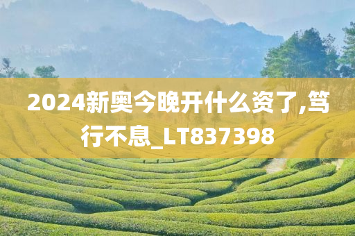 2024新奥今晚开什么资了,笃行不息_LT837398