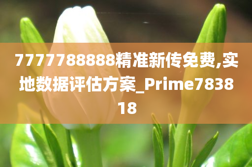 7777788888精准新传免费,实地数据评估方案_Prime783818