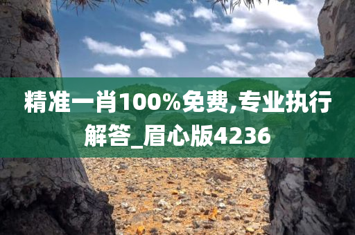 精准一肖100%免费,专业执行解答_眉心版4236